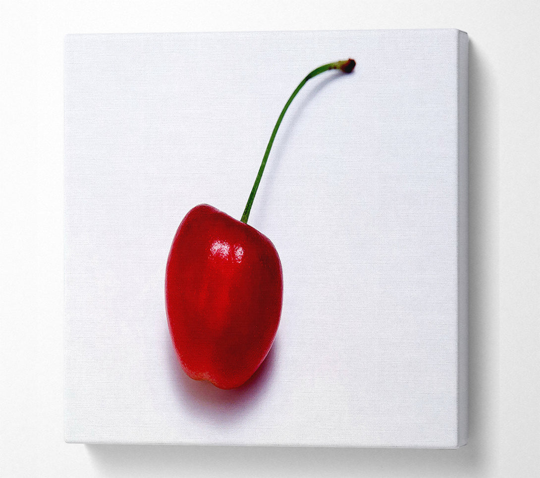  A Canvas Print of Single Cherry Canvas Print