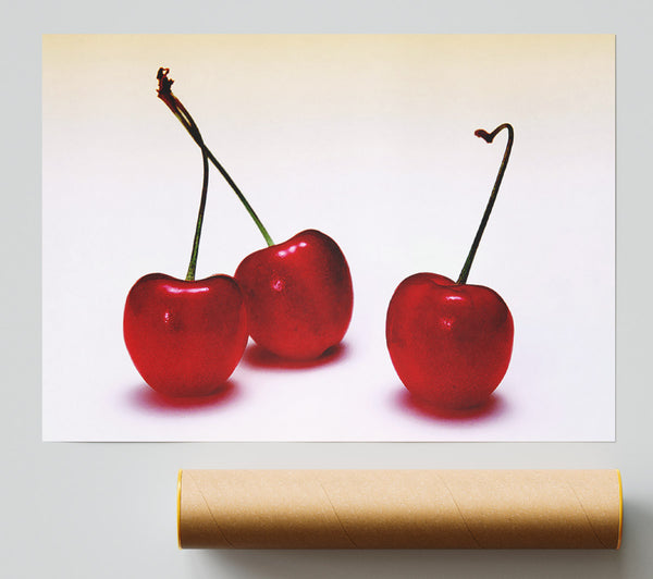 Cherry Trio Giclee Print