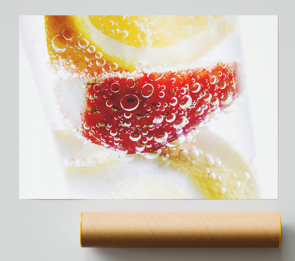 Fruit Fizz Giclee Print