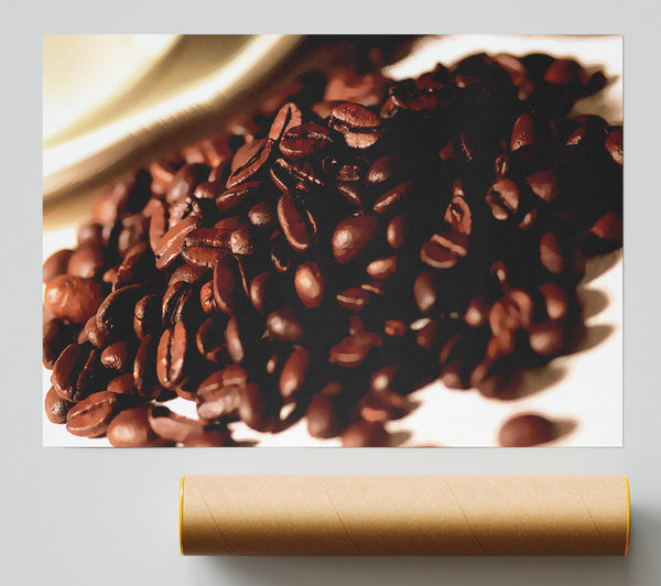 Coffee Bean Display Giclee Print