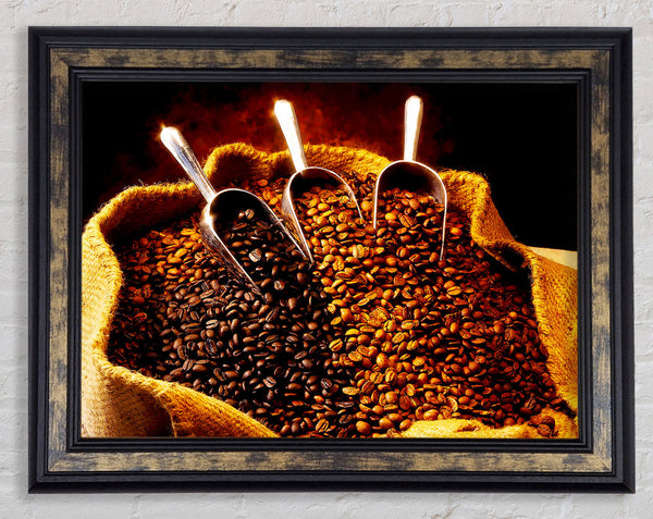 Coffee Bean Choice Framed Print