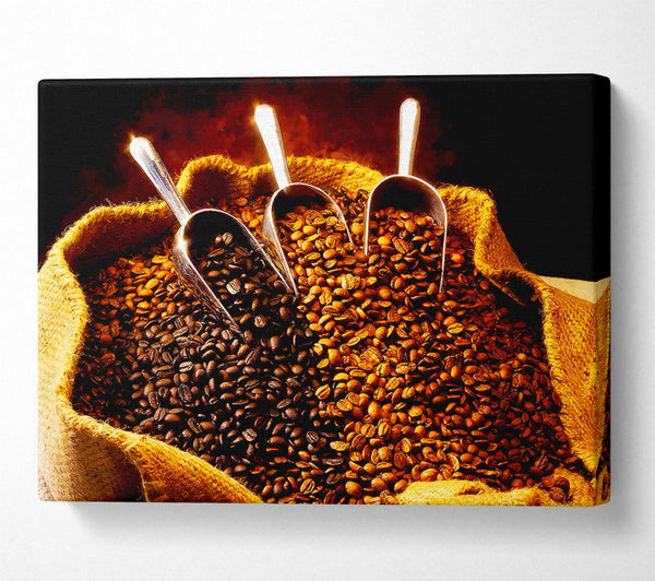  A Canvas Print of Coffee Bean Choice Canvas Print
