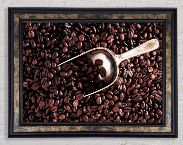 Coffee Bean Scoop Framed Print