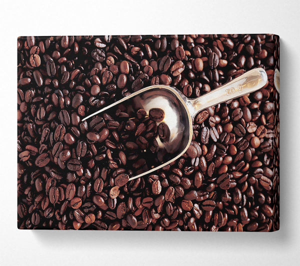  A Canvas Print of Coffee Bean Scoop Canvas Print