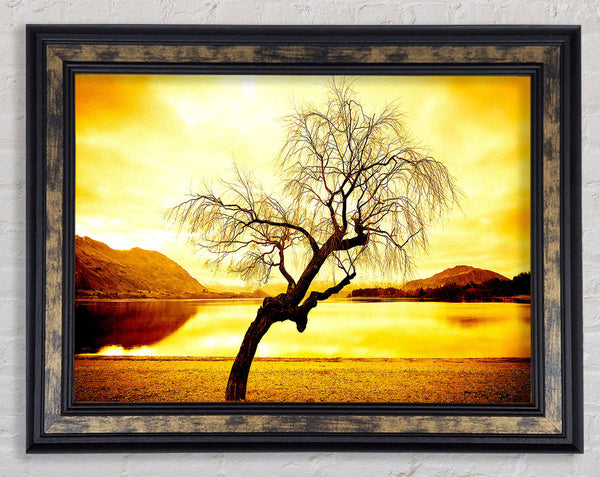 Willow Tree In Winter Framed Print