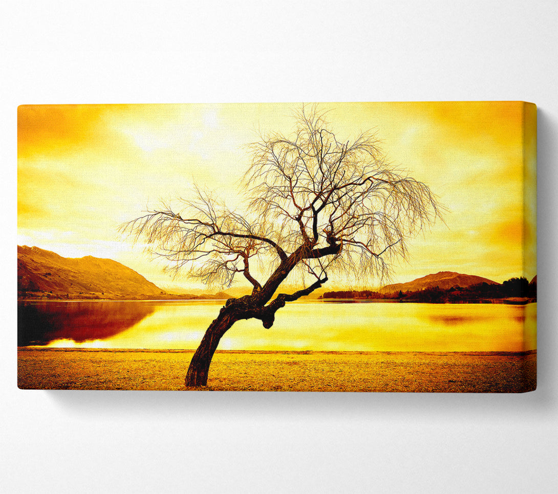  A Canvas Print of Willow Tree In Winter Canvas Wall Art