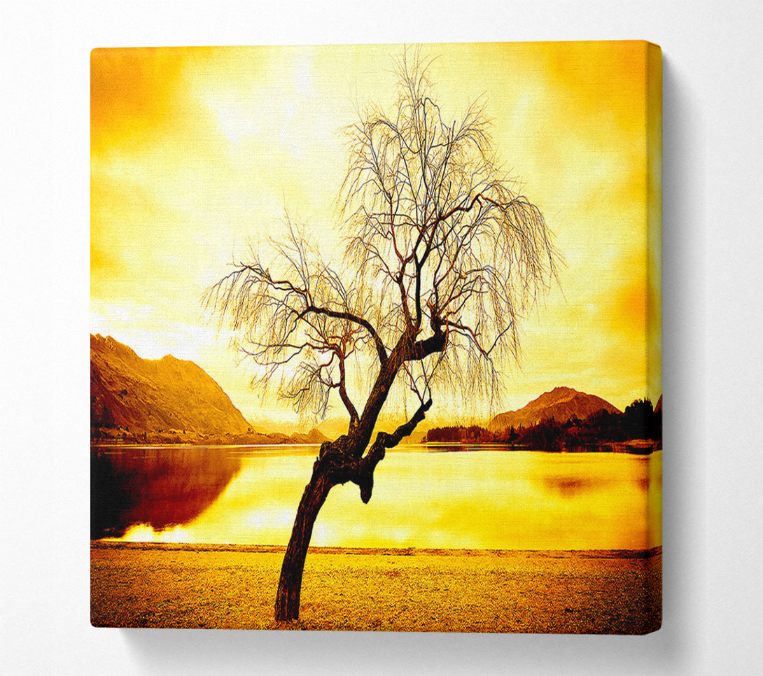  A Canvas Print of Willow Tree In Winter Canvas Wall Art