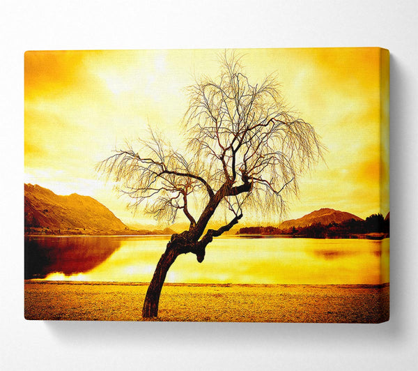  A Canvas Print of Willow Tree In Winter Canvas Wall Art