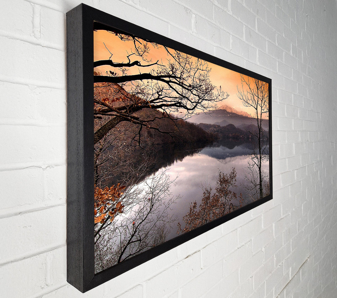  A Canvas Print of Bare Forest In Autumn Canvas Print