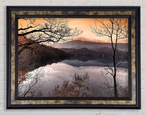 Bare Forest In Autumn Framed Print
