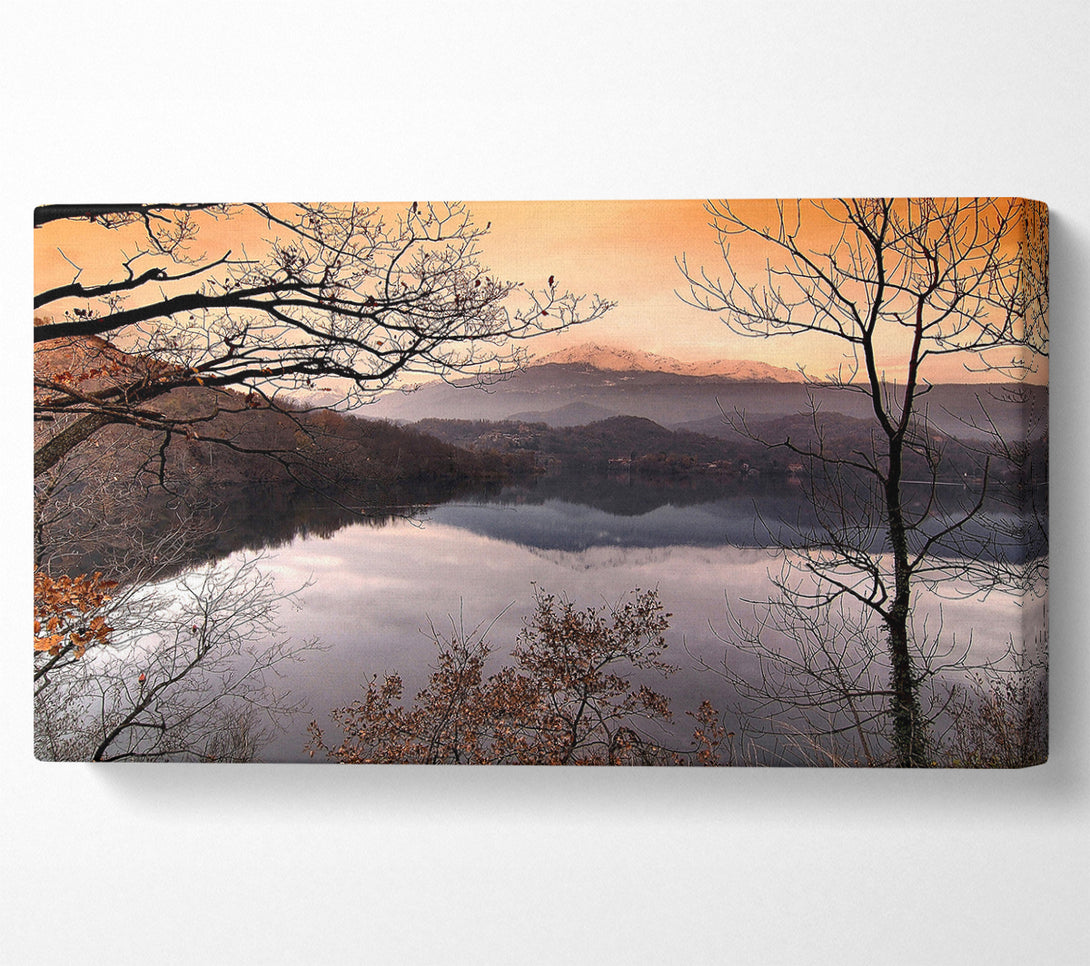  A Canvas Print of Bare Forest In Autumn Canvas Print
