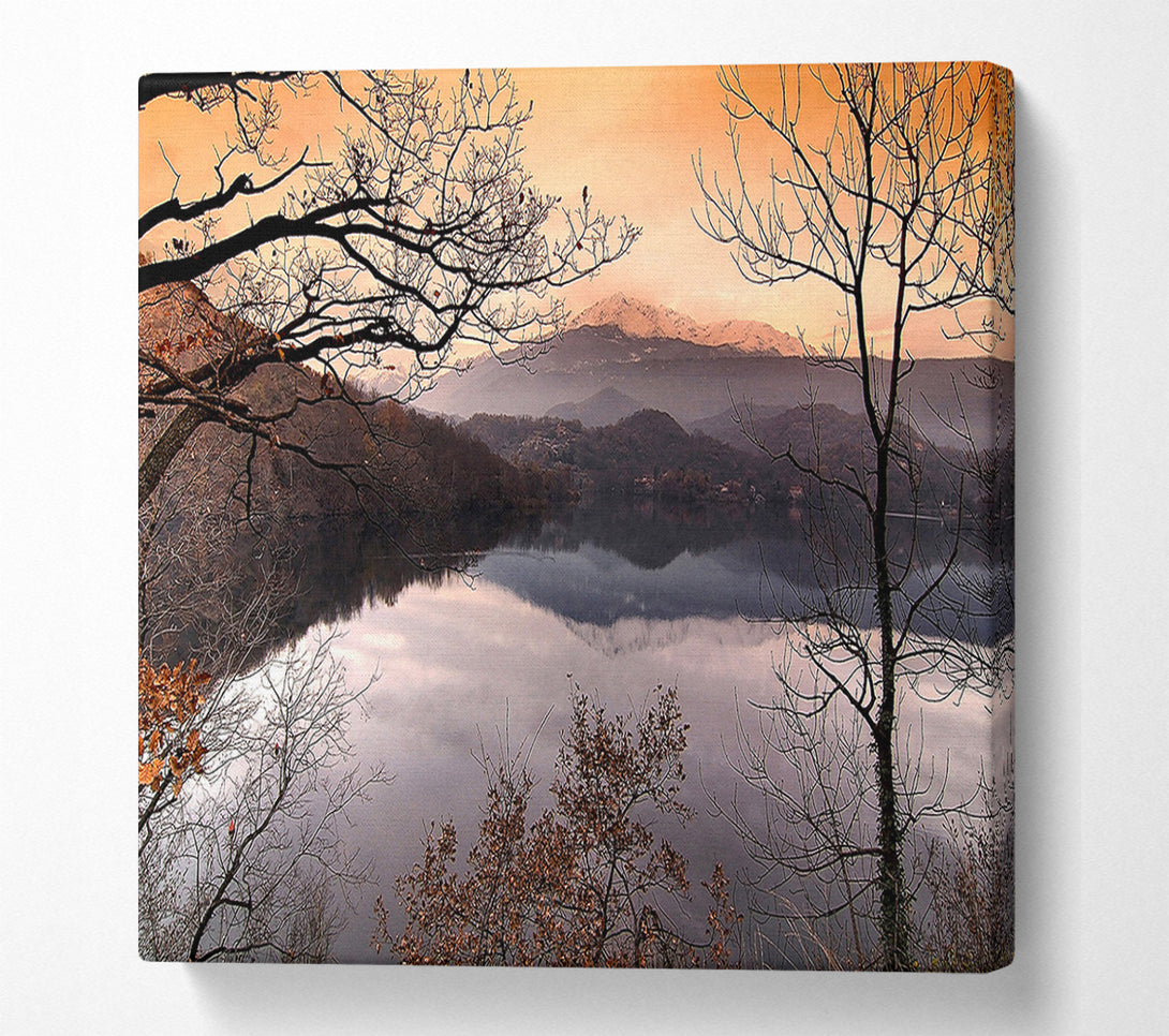  A Canvas Print of Bare Forest In Autumn Canvas Print