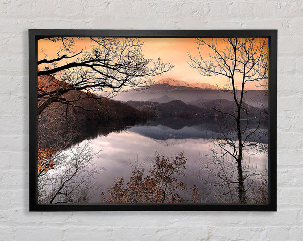Bare Forest In Autumn Framed Print