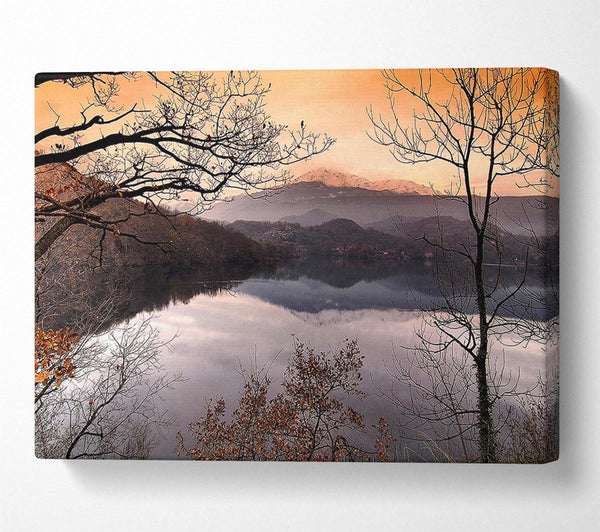 A Canvas Print of Bare Forest In Autumn Canvas Print