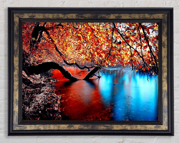 Tree Branches Over The Lake Framed Print
