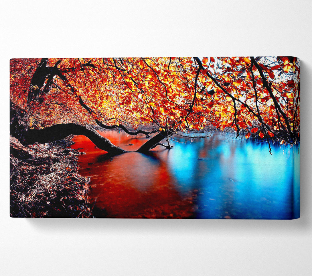  A Canvas Print of Tree Branches Over The Lake Canvas Print