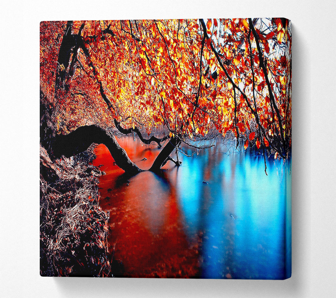  A Canvas Print of Tree Branches Over The Lake Canvas Print