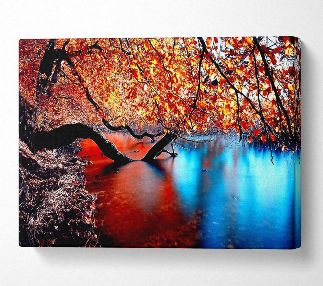  A Canvas Print of Tree Branches Over The Lake Canvas Print
