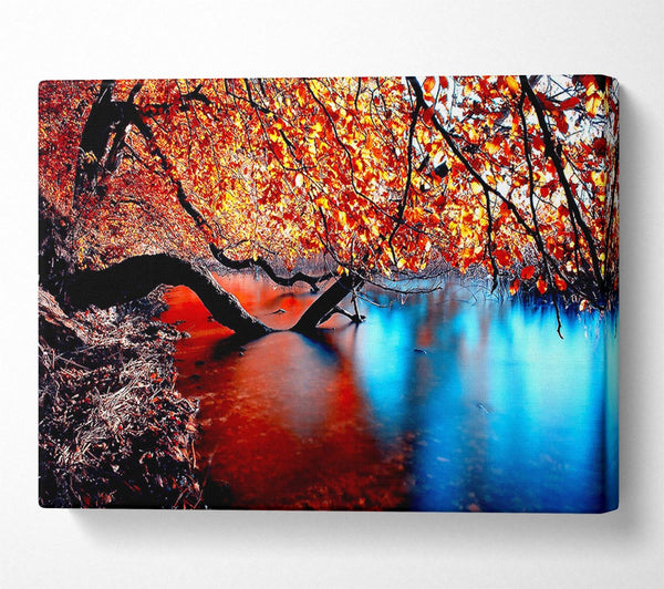  A Canvas Print of Tree Branches Over The Lake Canvas Print