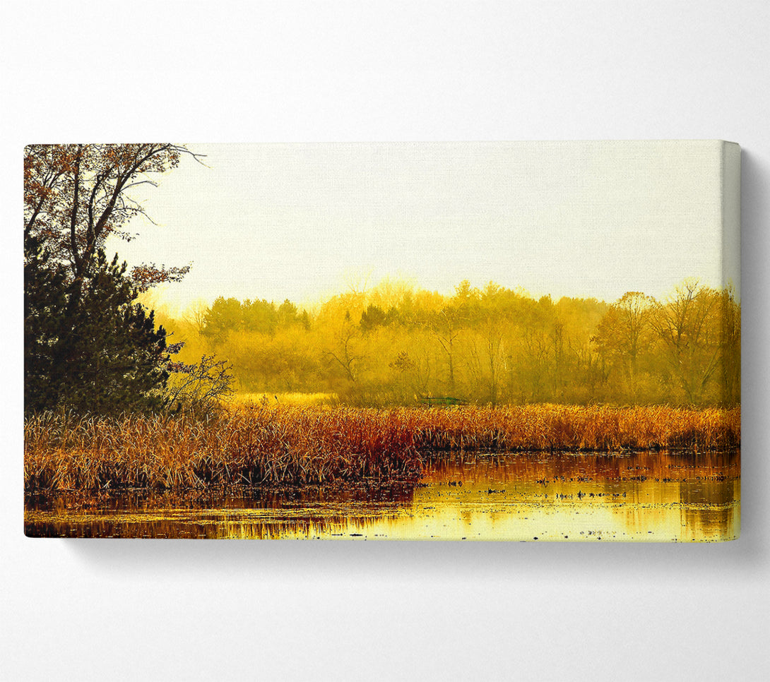  A Canvas Print of Lake In The Morning Sun Canvas Art