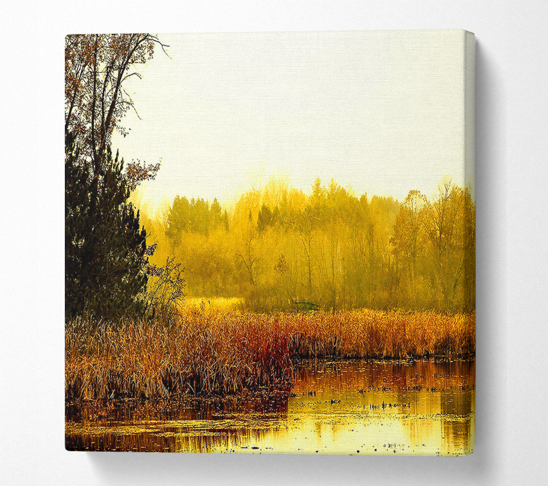  A Canvas Print of Lake In The Morning Sun Canvas Art