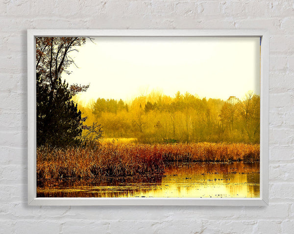 Lake In The Morning Sun Framed Print
