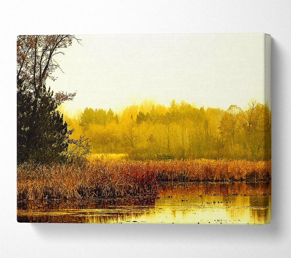  A Canvas Print of Lake In The Morning Sun Canvas Art