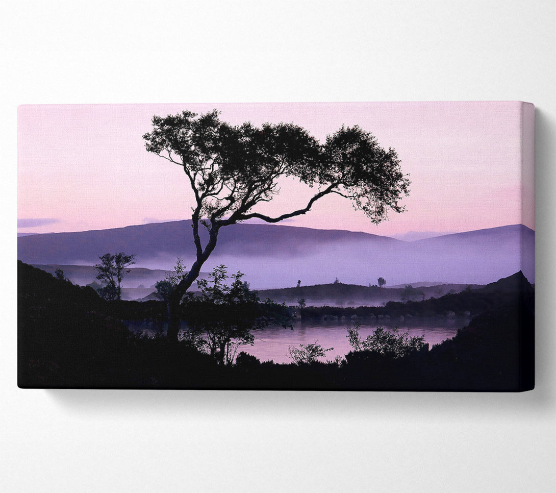  A Canvas Print of Lakeside Tree Canvas Print