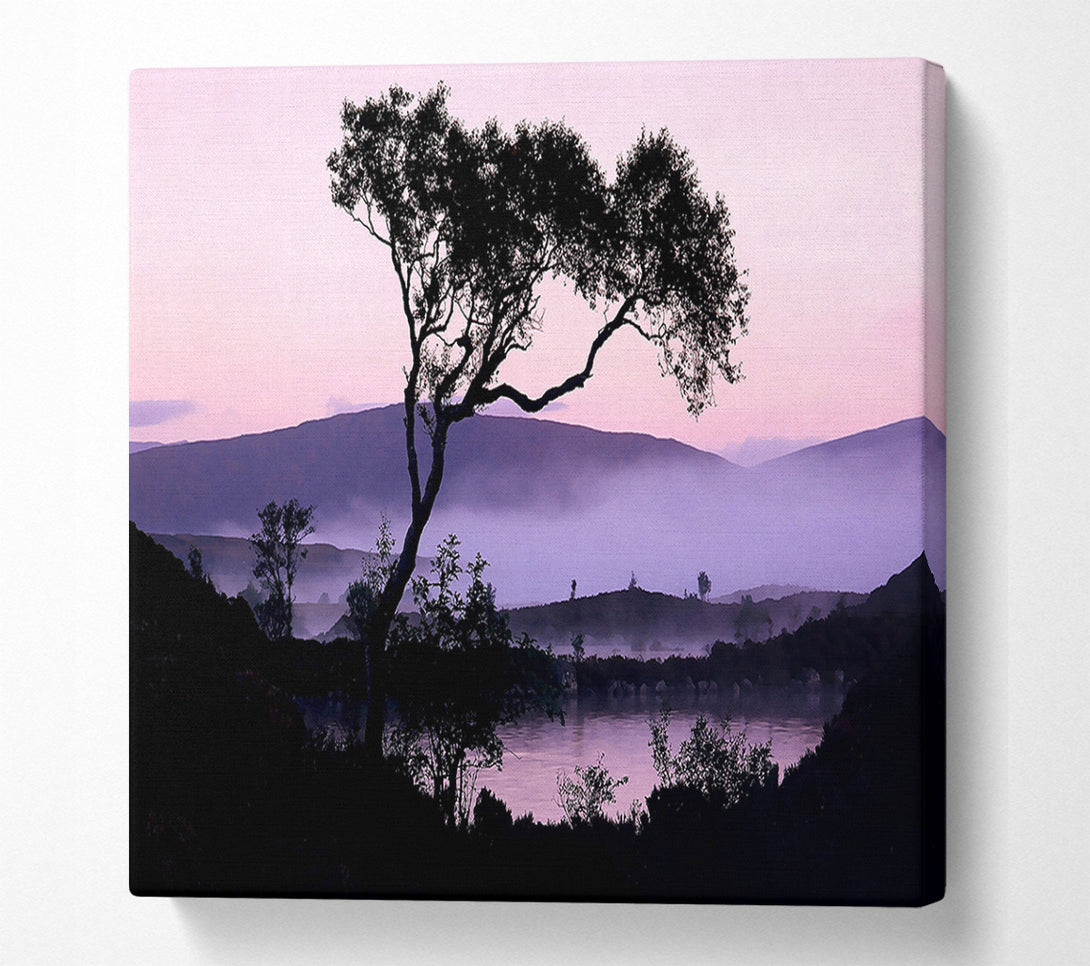  A Canvas Print of Lakeside Tree Canvas Print