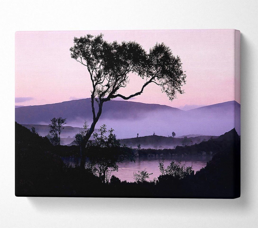  A Canvas Print of Lakeside Tree Canvas Print