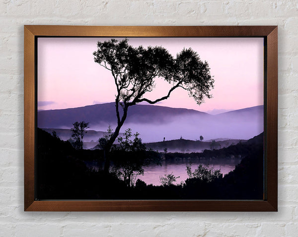 Lakeside Tree Framed Print