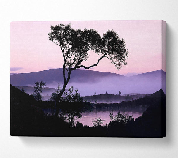  A Canvas Print of Lakeside Tree Canvas Print