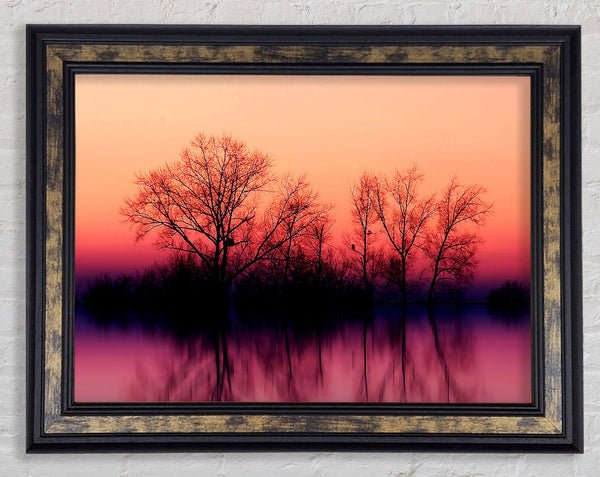 Trees At Dusk Framed Print