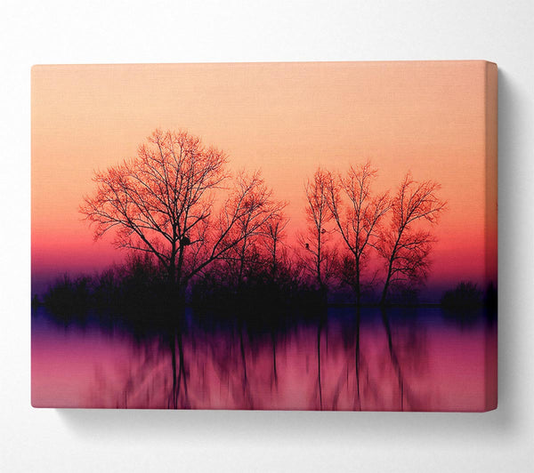  A Canvas Print of Trees At Dusk Canvas Art