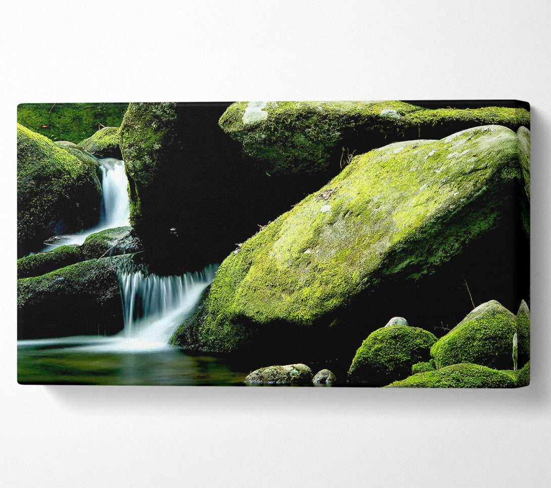  A Canvas Print of Moss Rocks Canvas Art