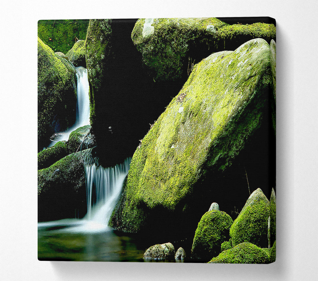  A Canvas Print of Moss Rocks Canvas Art