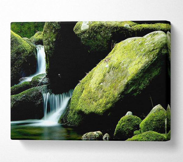  A Canvas Print of Moss Rocks Canvas Art