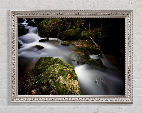 Forest Mist Creek Framed Print