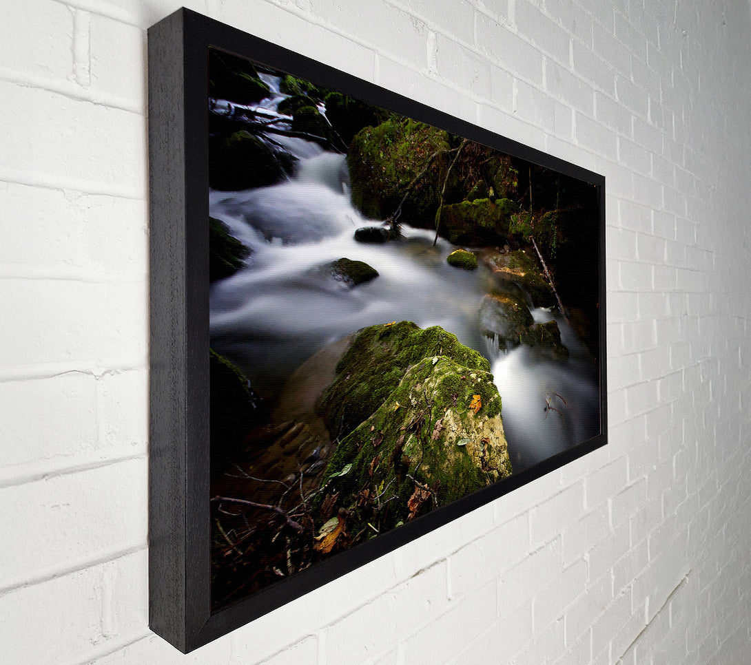  A Canvas Print of Forest Mist Creek Canvas Wall Art