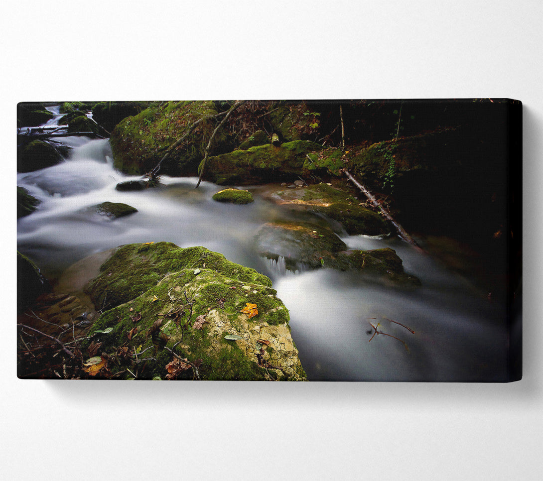  A Canvas Print of Forest Mist Creek Canvas Wall Art