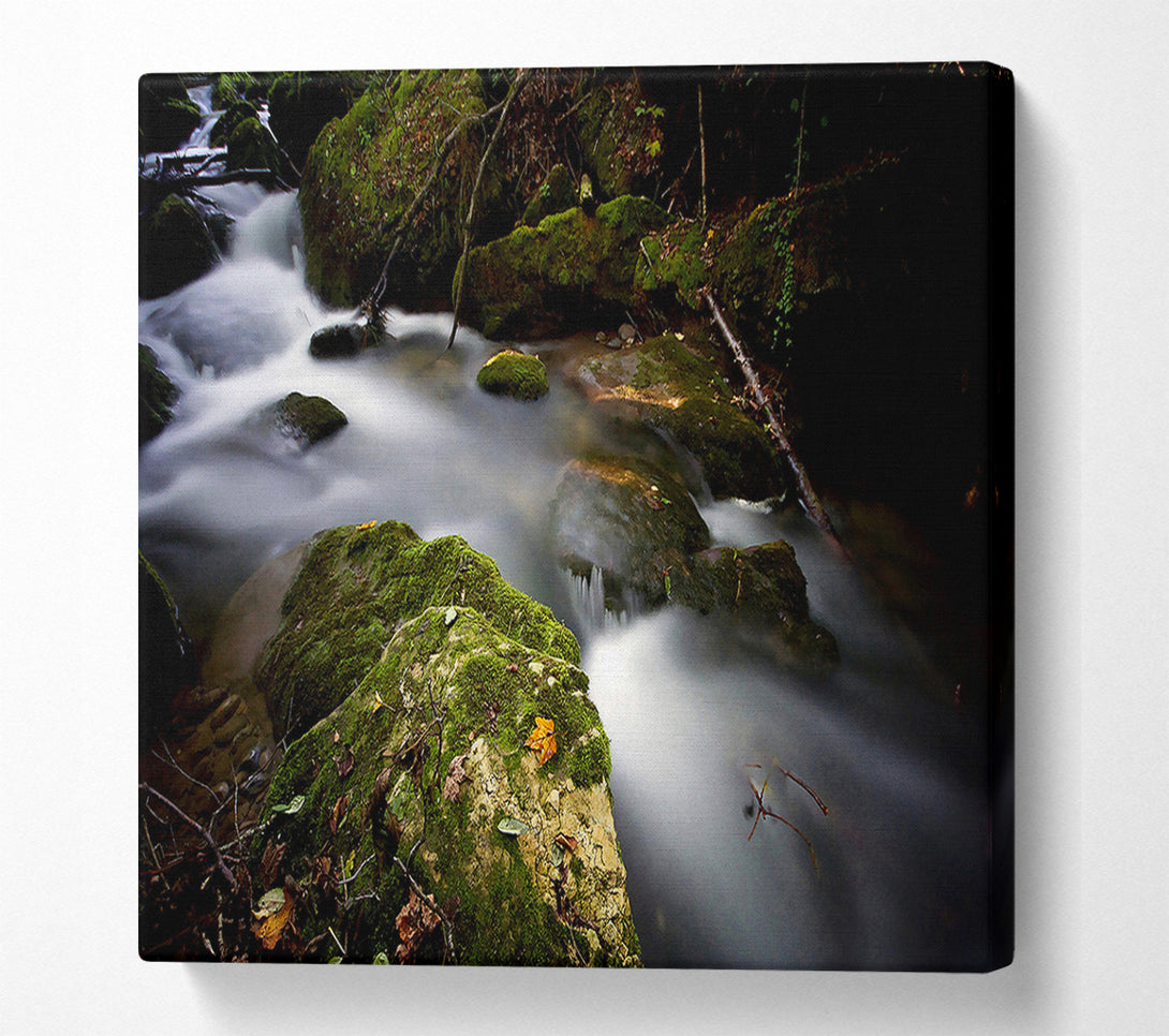  A Canvas Print of Forest Mist Creek Canvas Wall Art