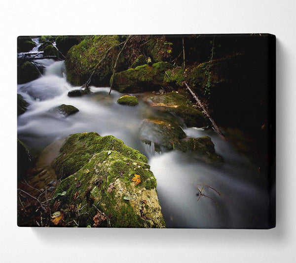  A Canvas Print of Forest Mist Creek Canvas Wall Art