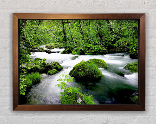 Green Forest Stream Framed Print
