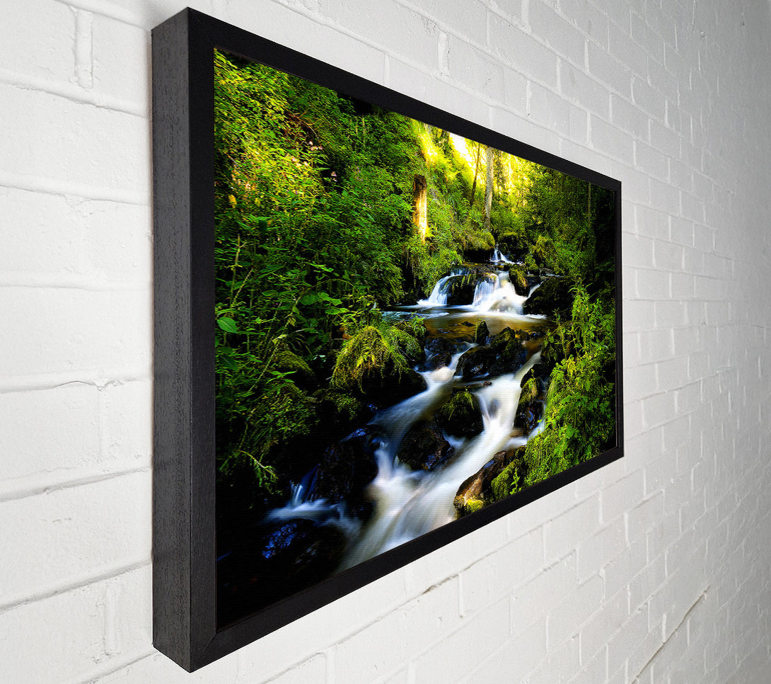  A Canvas Print of Forest Creek Canvas Print