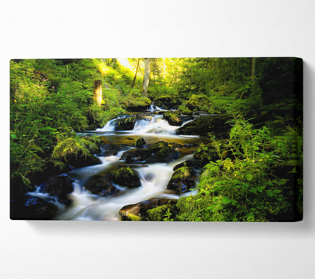  A Canvas Print of Forest Creek Canvas Print