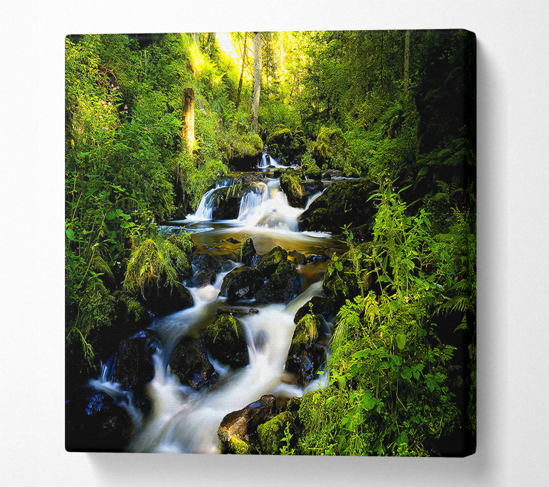  A Canvas Print of Forest Creek Canvas Print