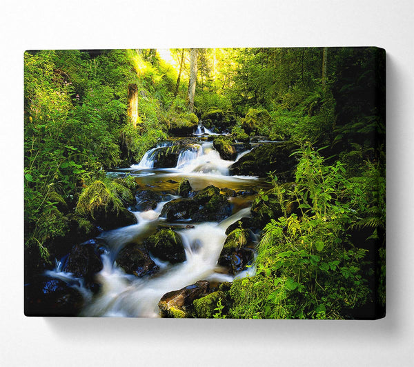  A Canvas Print of Forest Creek Canvas Print
