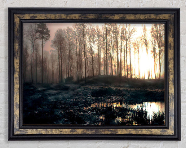 Early Morning Swamp Framed Print