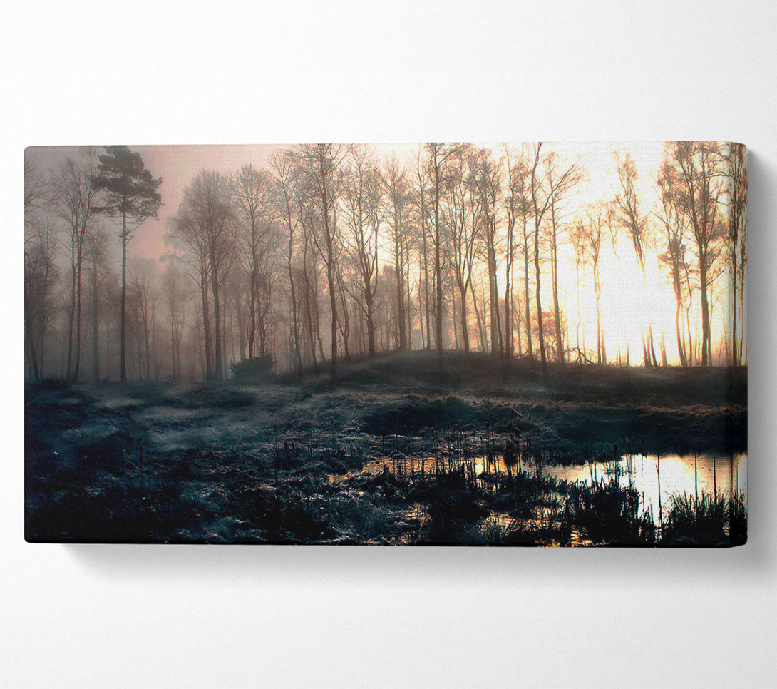  A Canvas Print of Early Morning Swamp Canvas Print