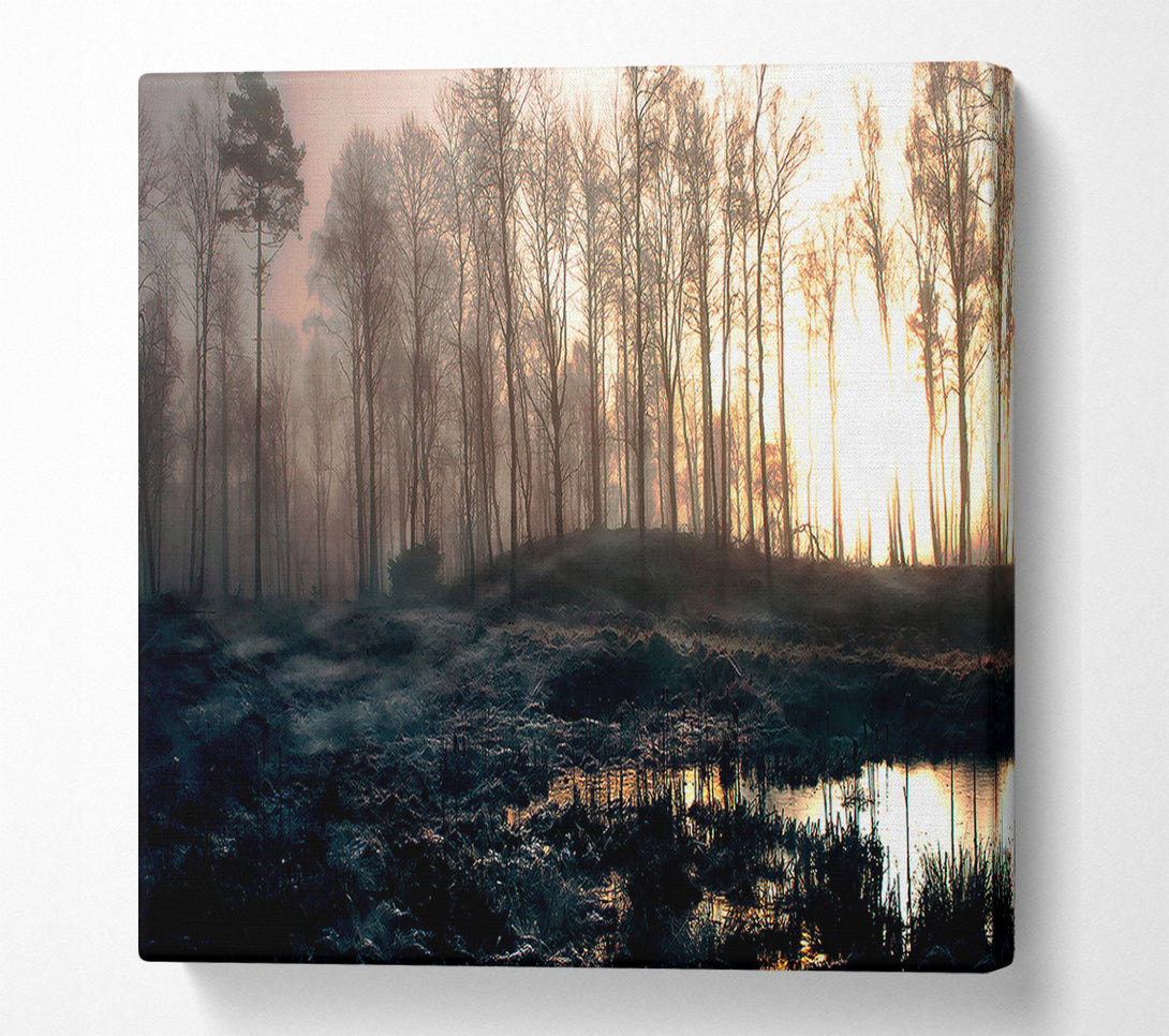  A Canvas Print of Early Morning Swamp Canvas Print